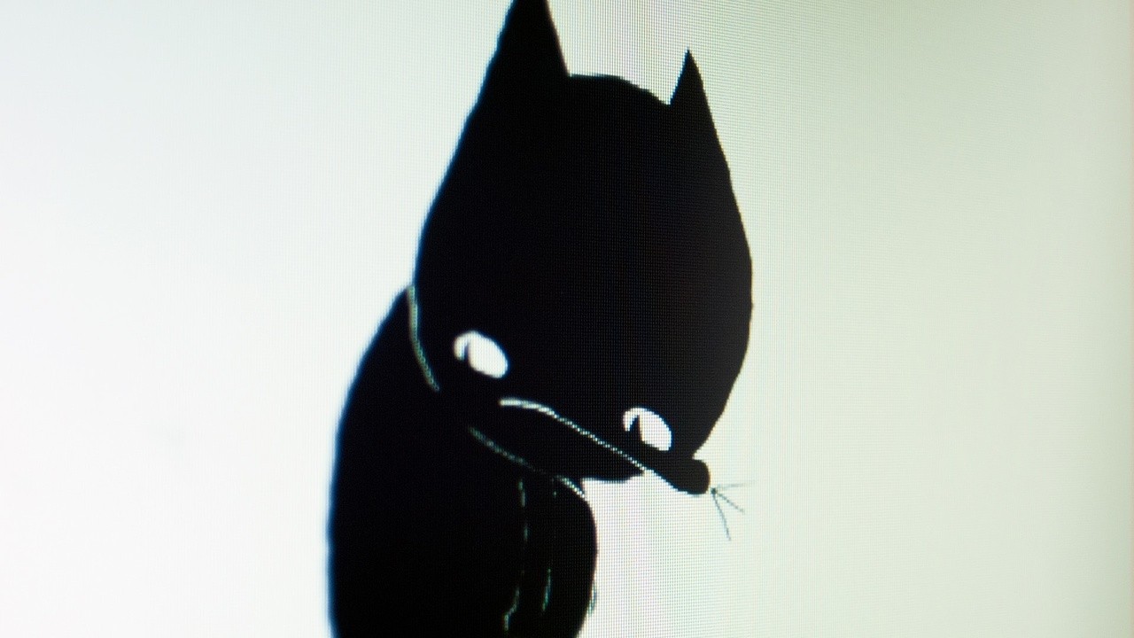 A Cat Called Dom