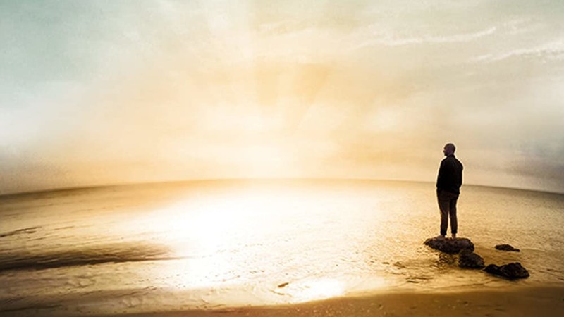 Irreplaceable (2014) MUBI