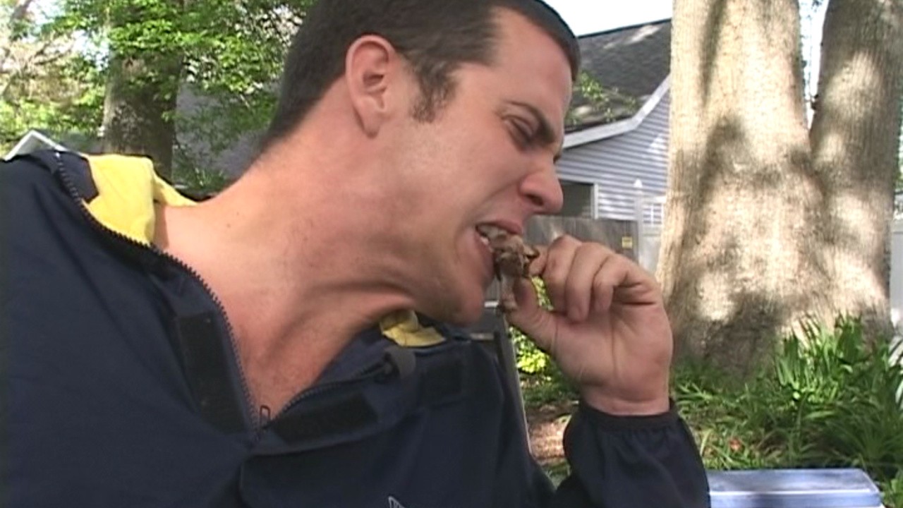 Don't Try This at Home: The Steve-O Video
