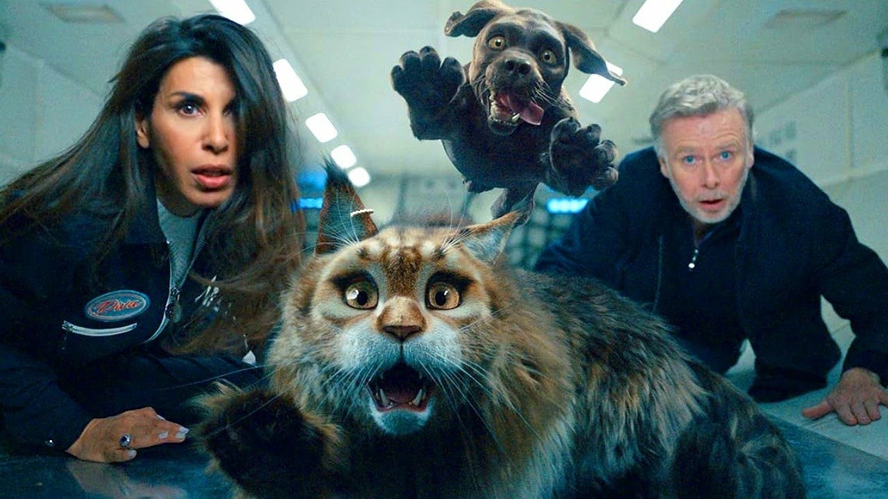 Image du film Chien et Chat