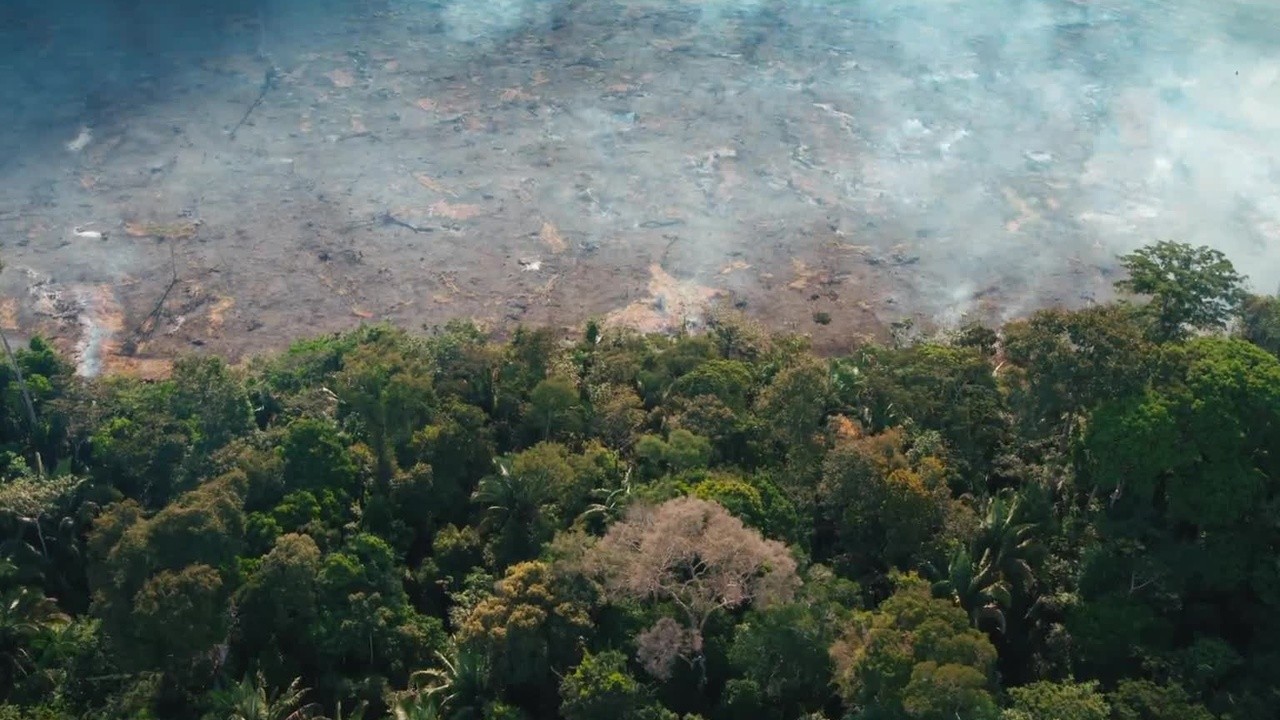 Eating Our Way to Extinction