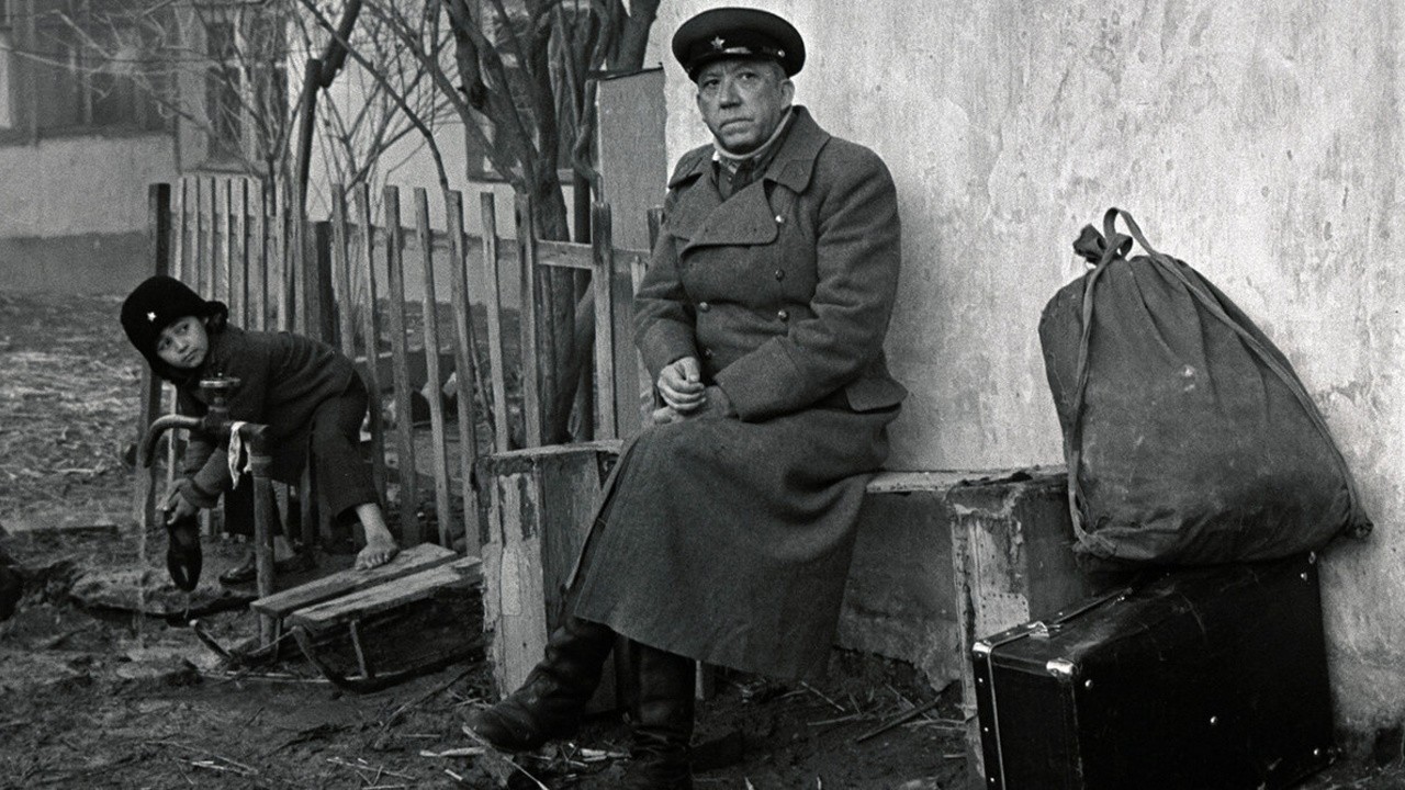 Twenty Days Without War