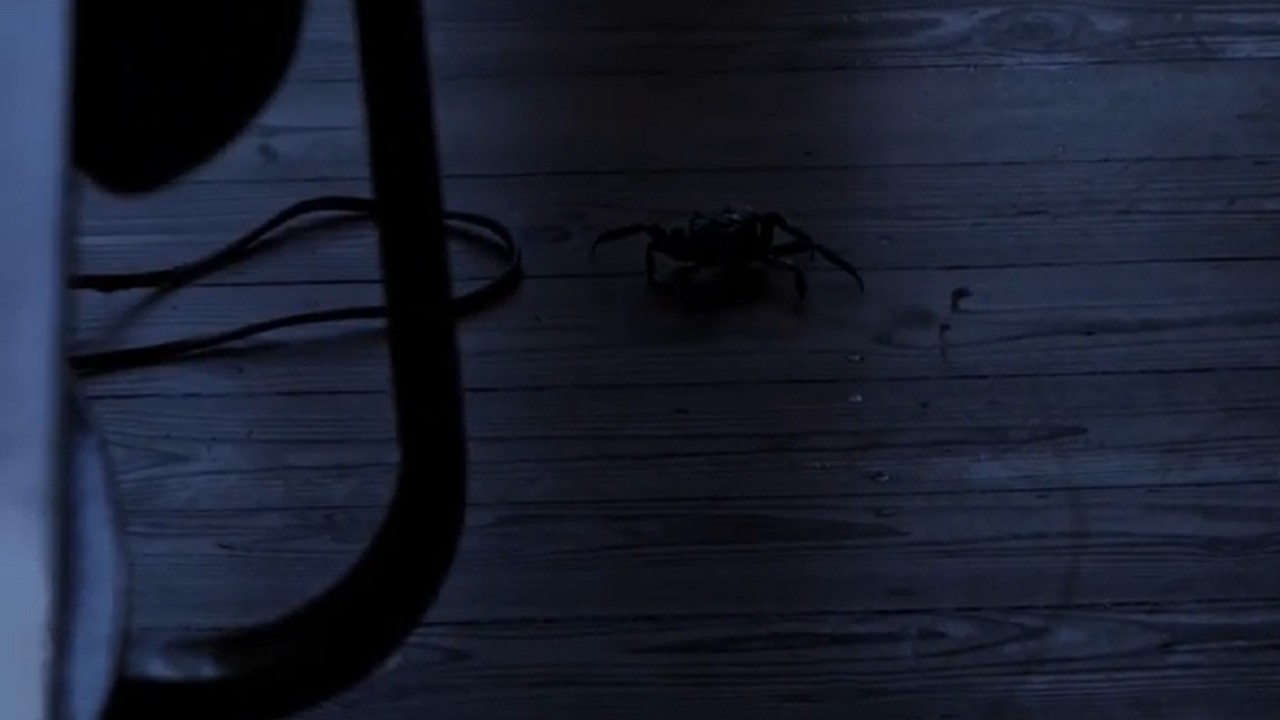 Image du film Une si longue marche