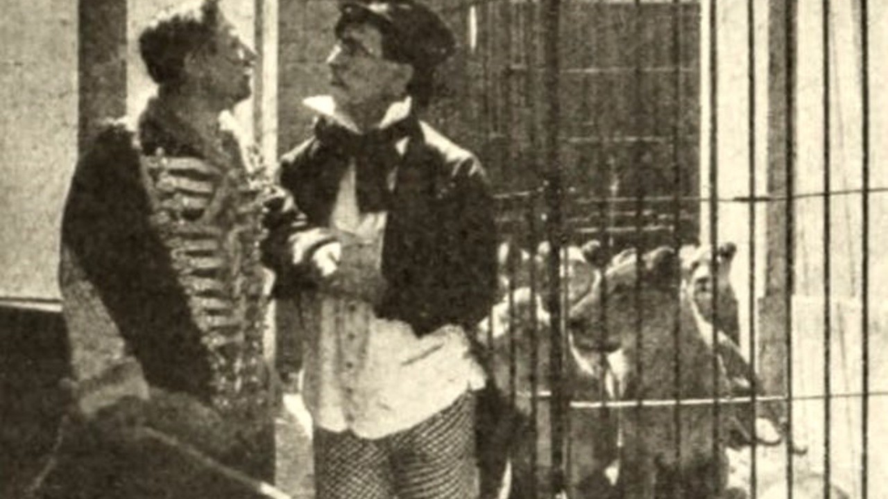 The Lion Tamer's Revenge