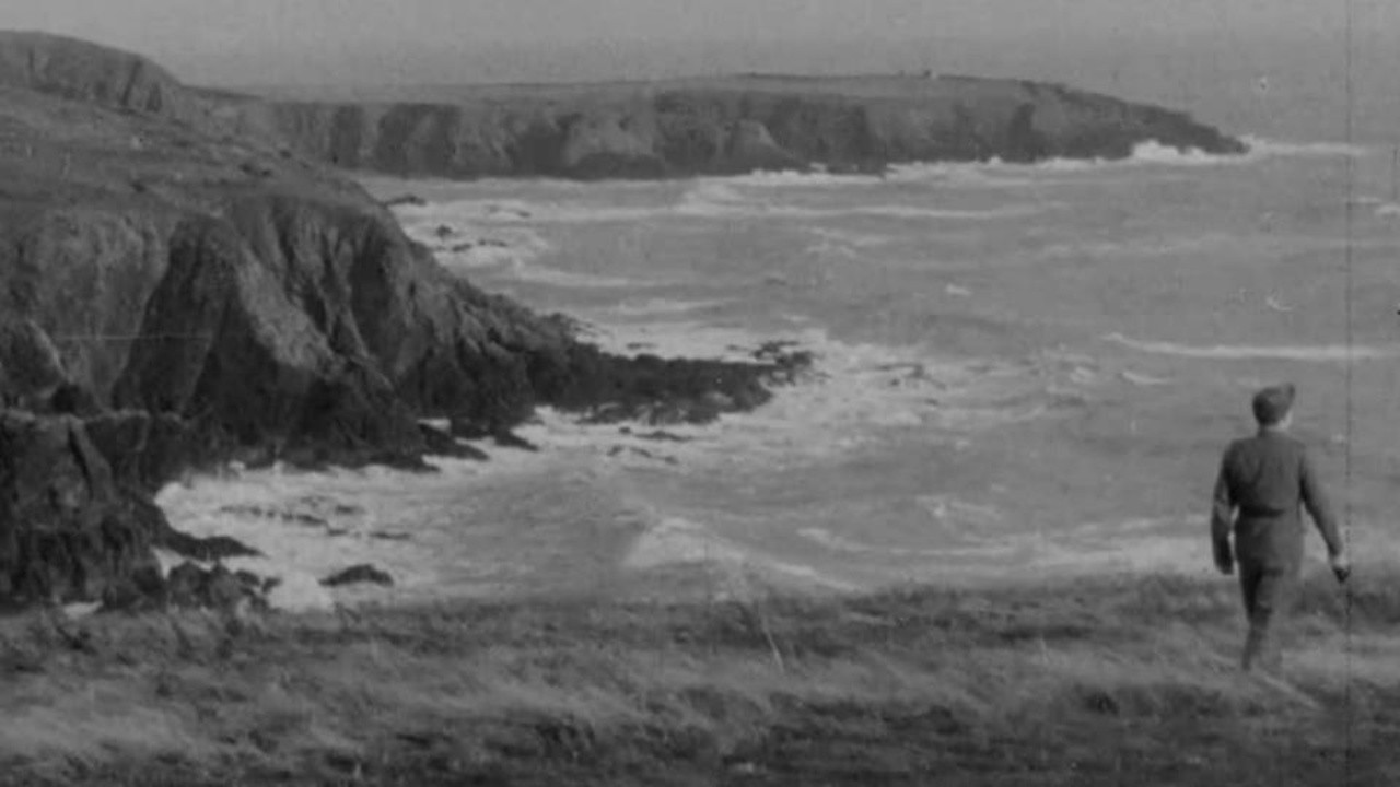 Image du film The Irish Question