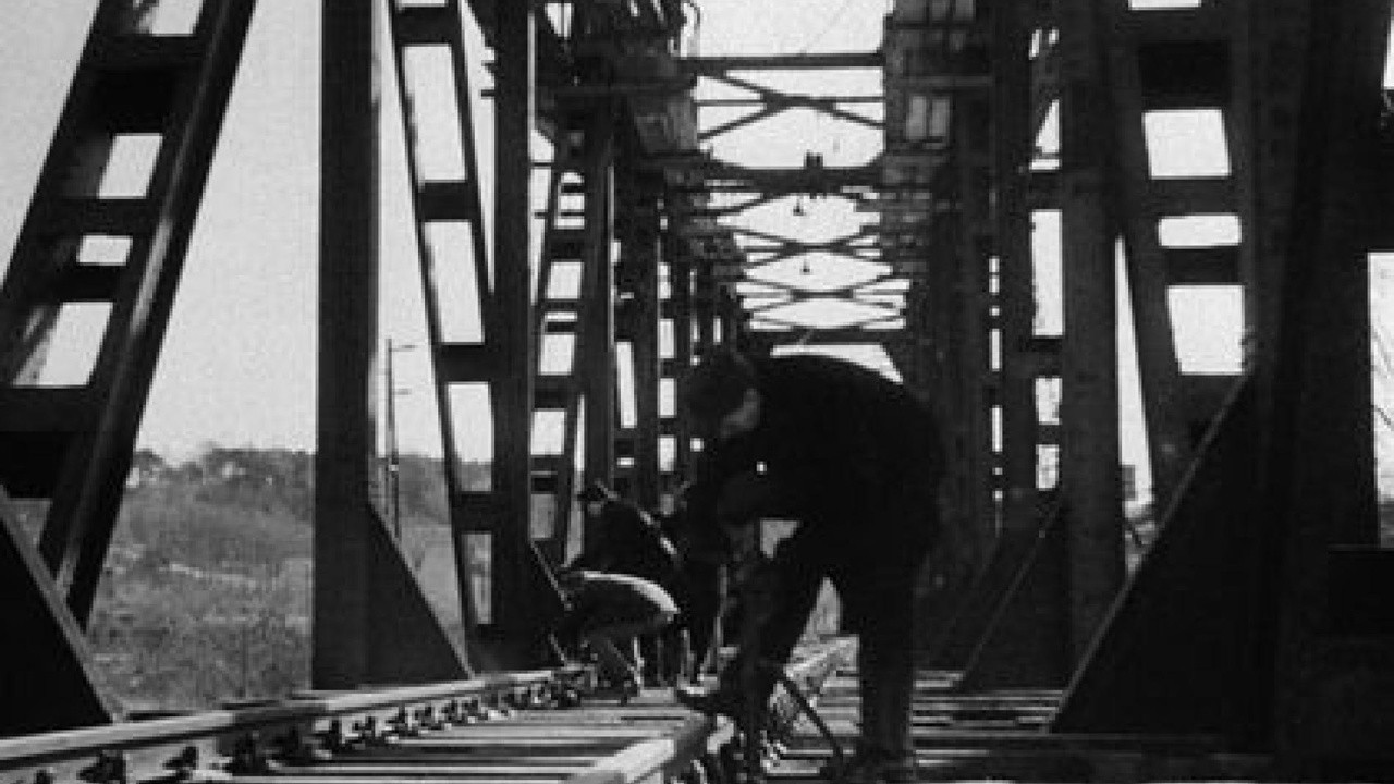 Die Brücke von Caputh