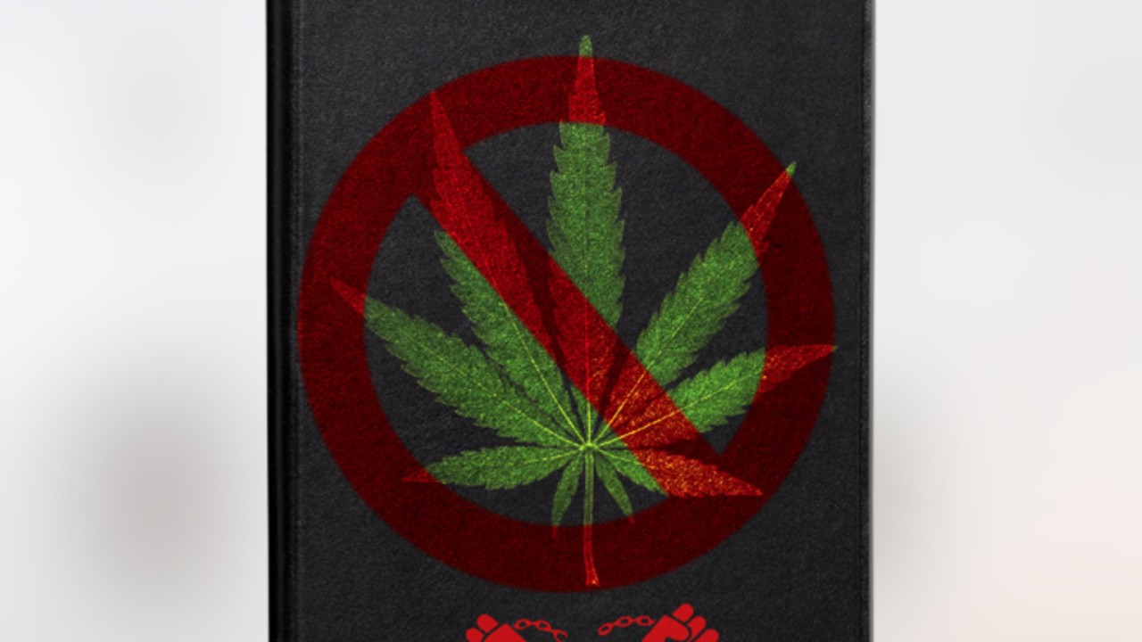 The Cannabis Diary (2022)