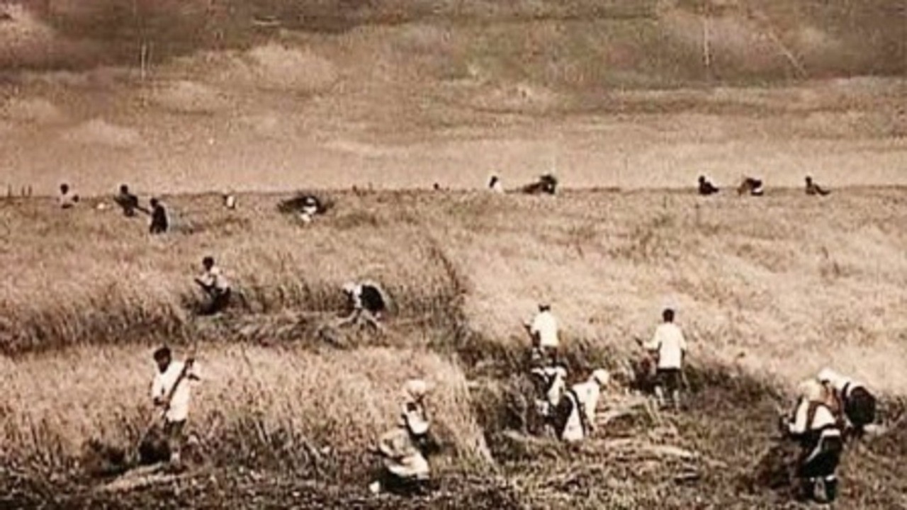 Image du film Le Village du péché
