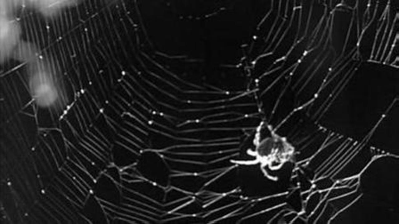 In the Midst of Life