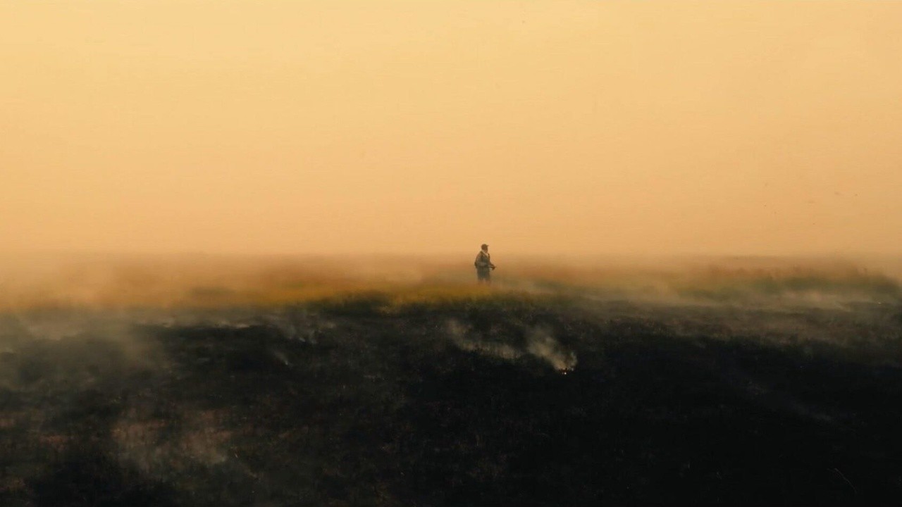Image du film Paradis