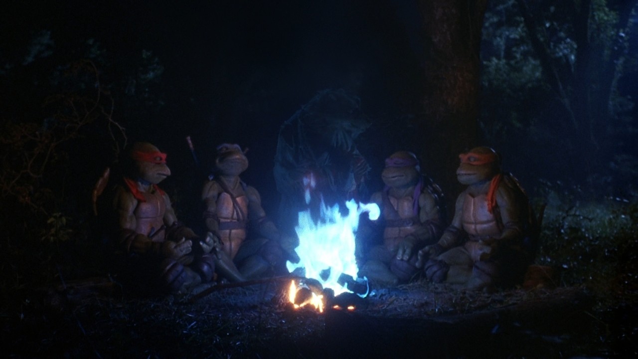 Teenage Mutant Ninja Turtles