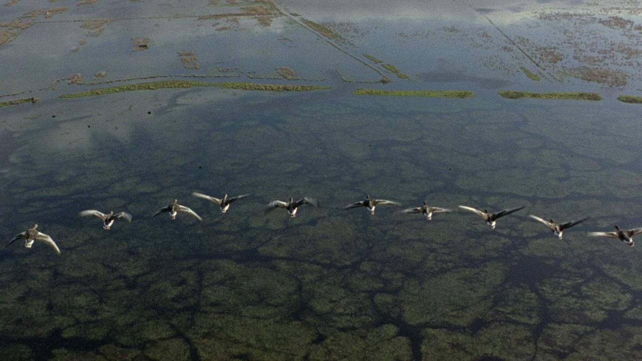 Le peuple migrateur