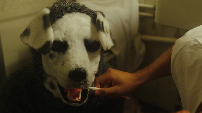 Good Boy (2022) | MUBI