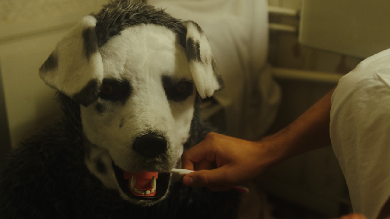 Image du film Good Boy