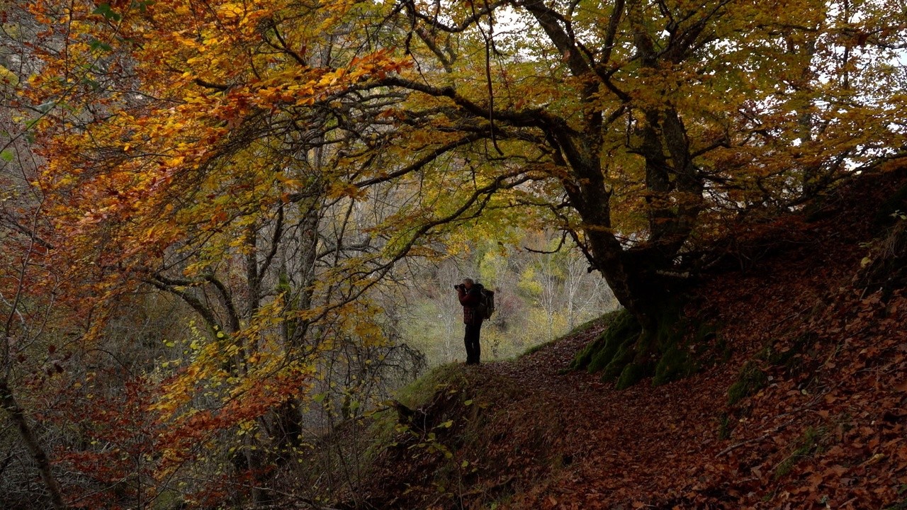El Río De La Memoria 2022 Mubi