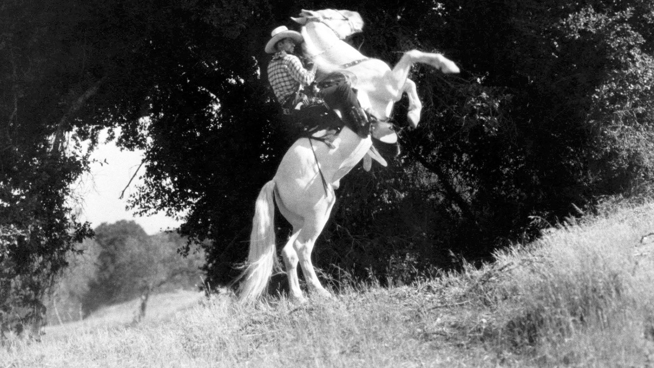 Harlem on the Prairie