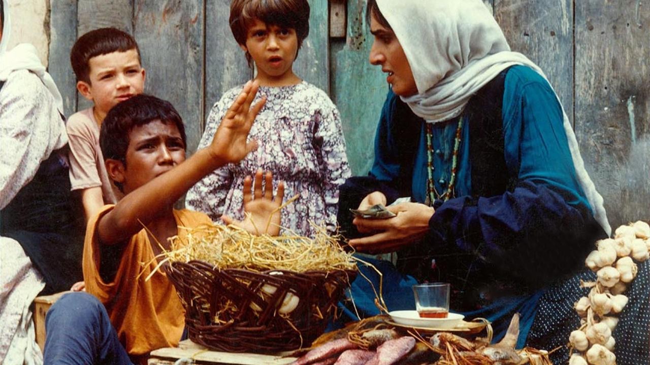 Bashu, the Little Stranger