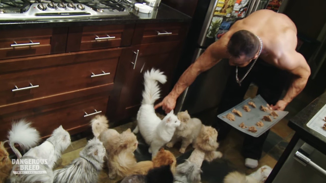 Dangerous Breed: Crime. Cons. Cats