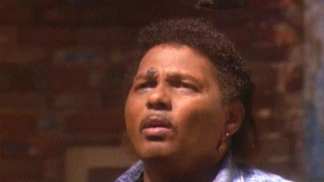 The Neville Brothers: Bird on a Wire [MV]