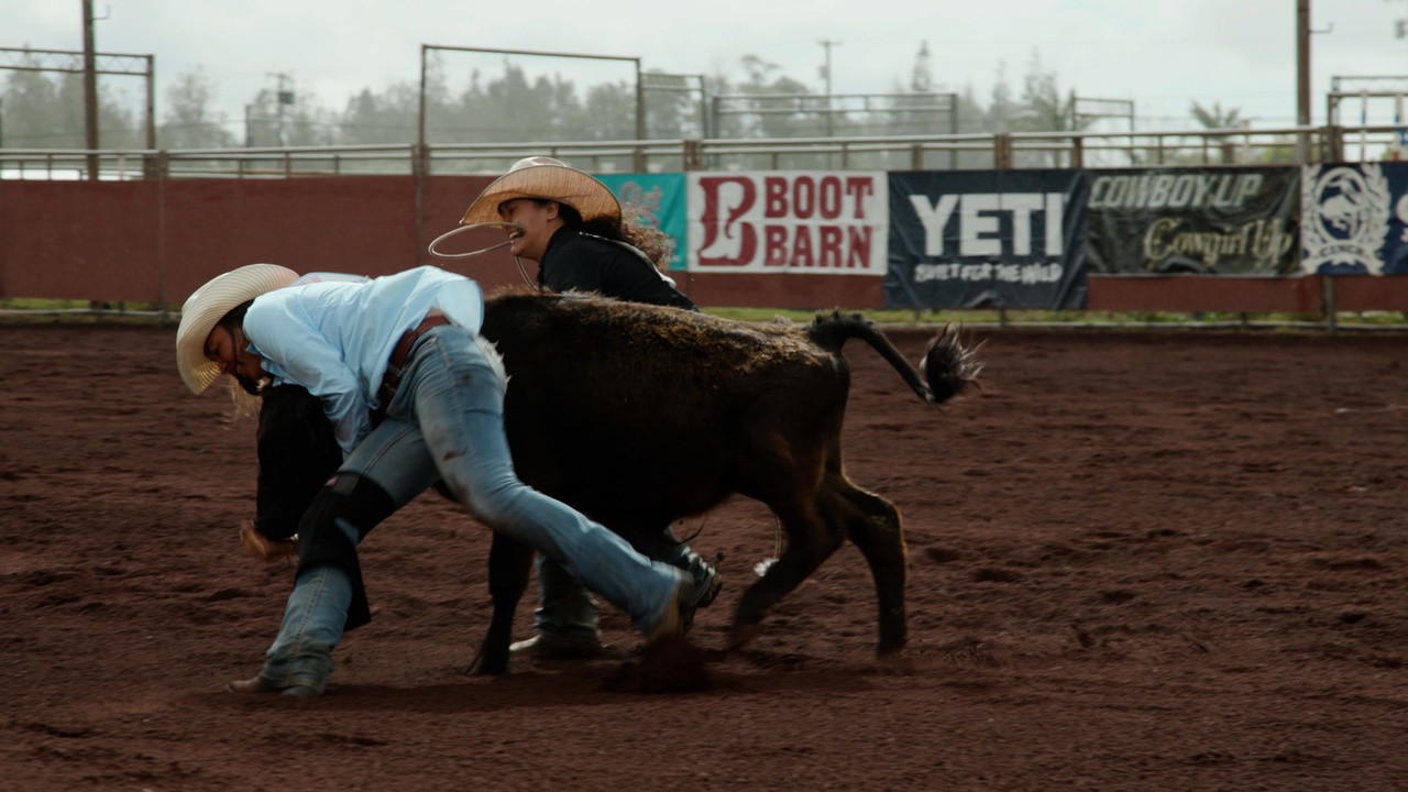 The Last Rodeo