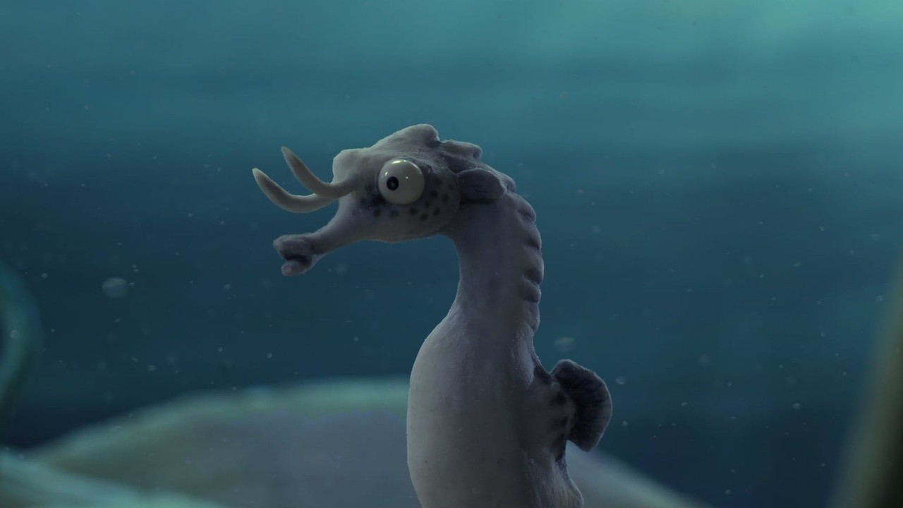 The Lost Seahorse