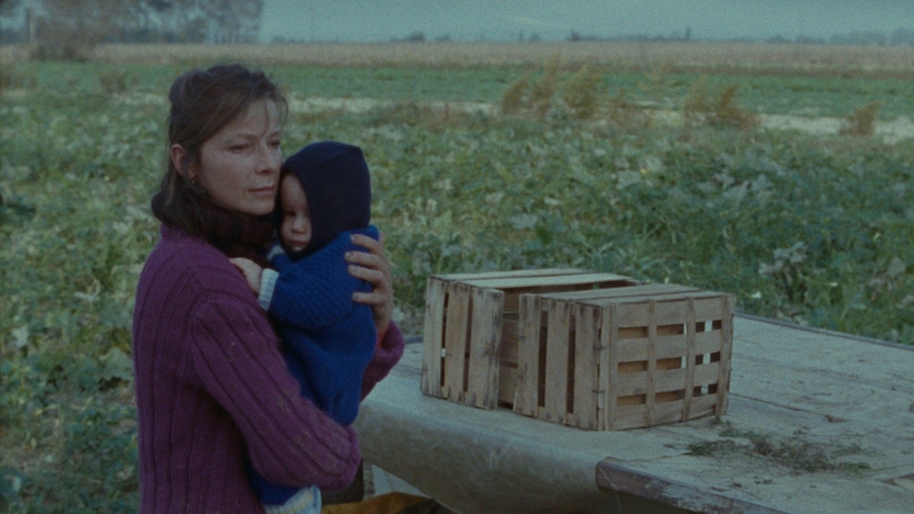 Image du film Y'aura t'il de la neige à Noël?