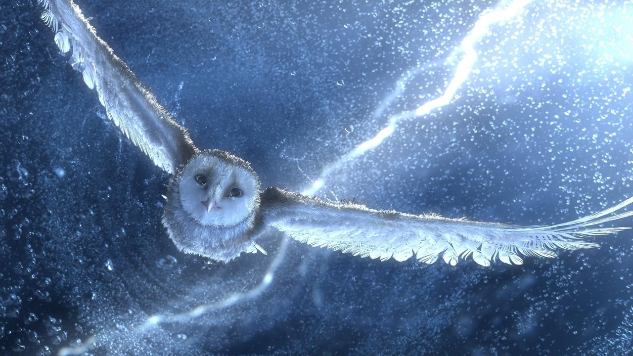 Image du film Le Royaume de Ga'Hoole - la légende des gardiens