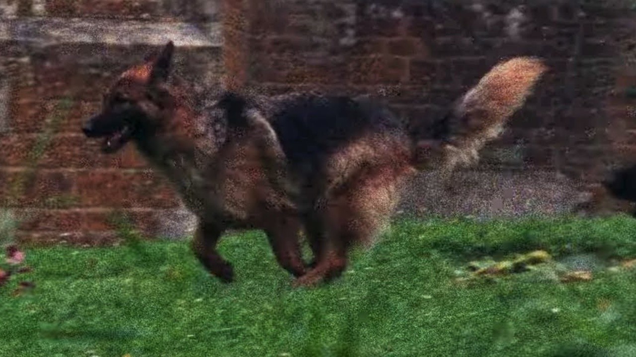 Pink Floyd: The Dogs of War [MV]