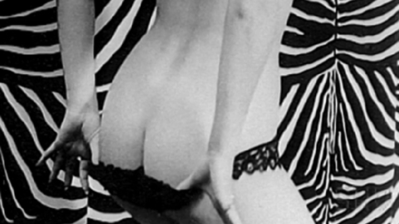 Passion Fever
