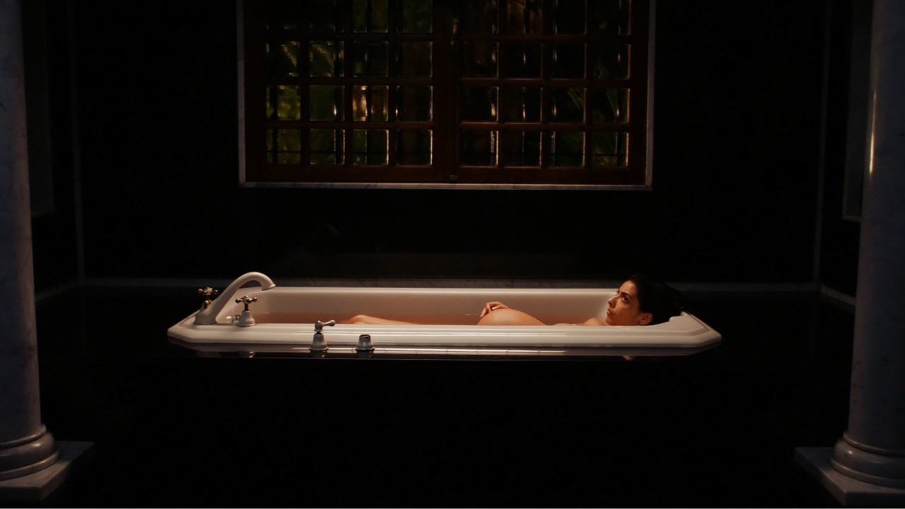 Image du film Animalia