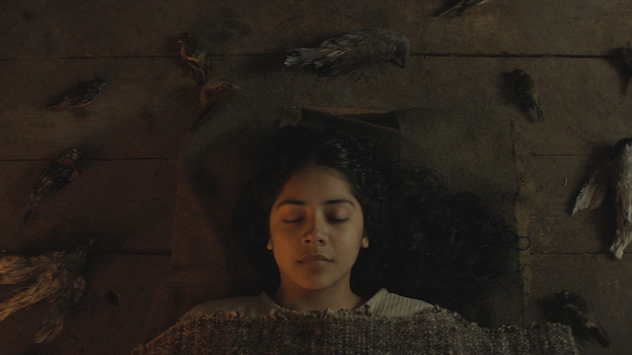Image du film Brujeria - Sorcellerie