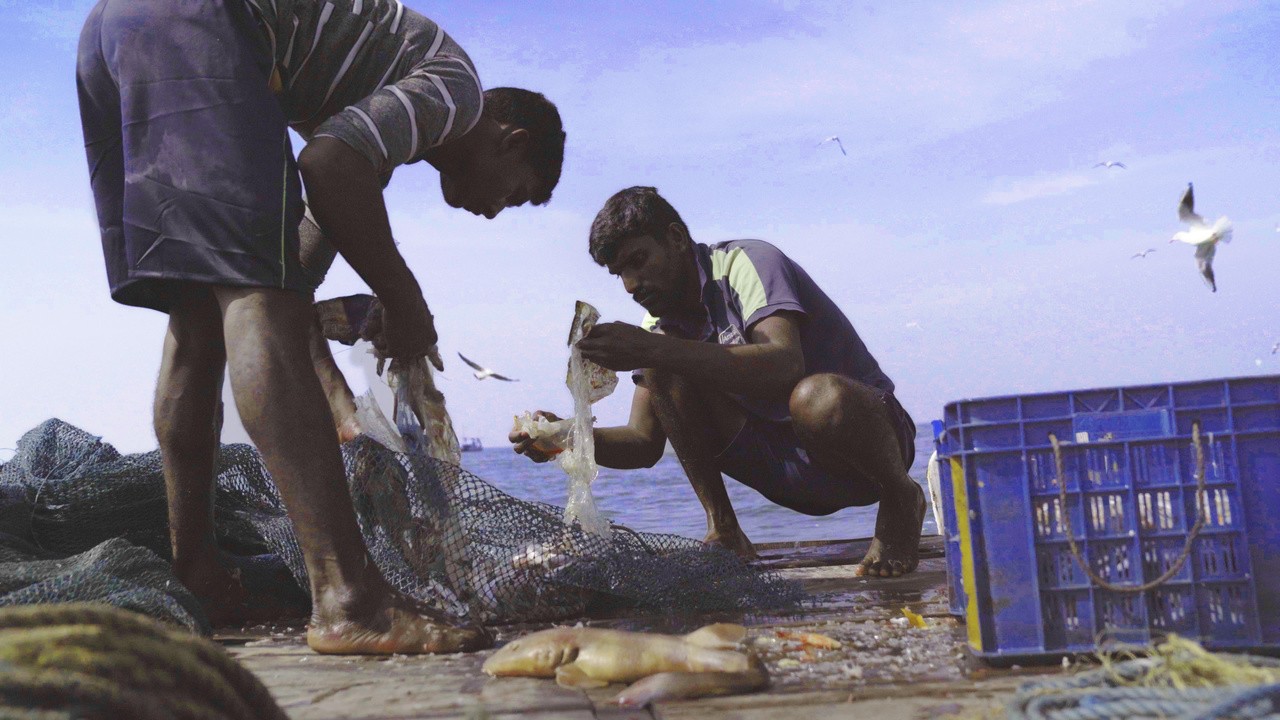 Image du film Against the Tide