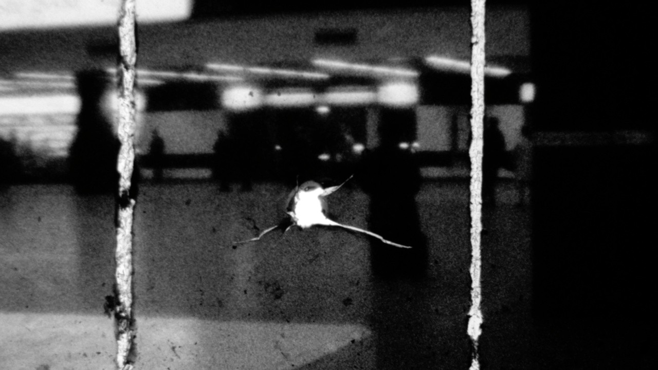 Five Films