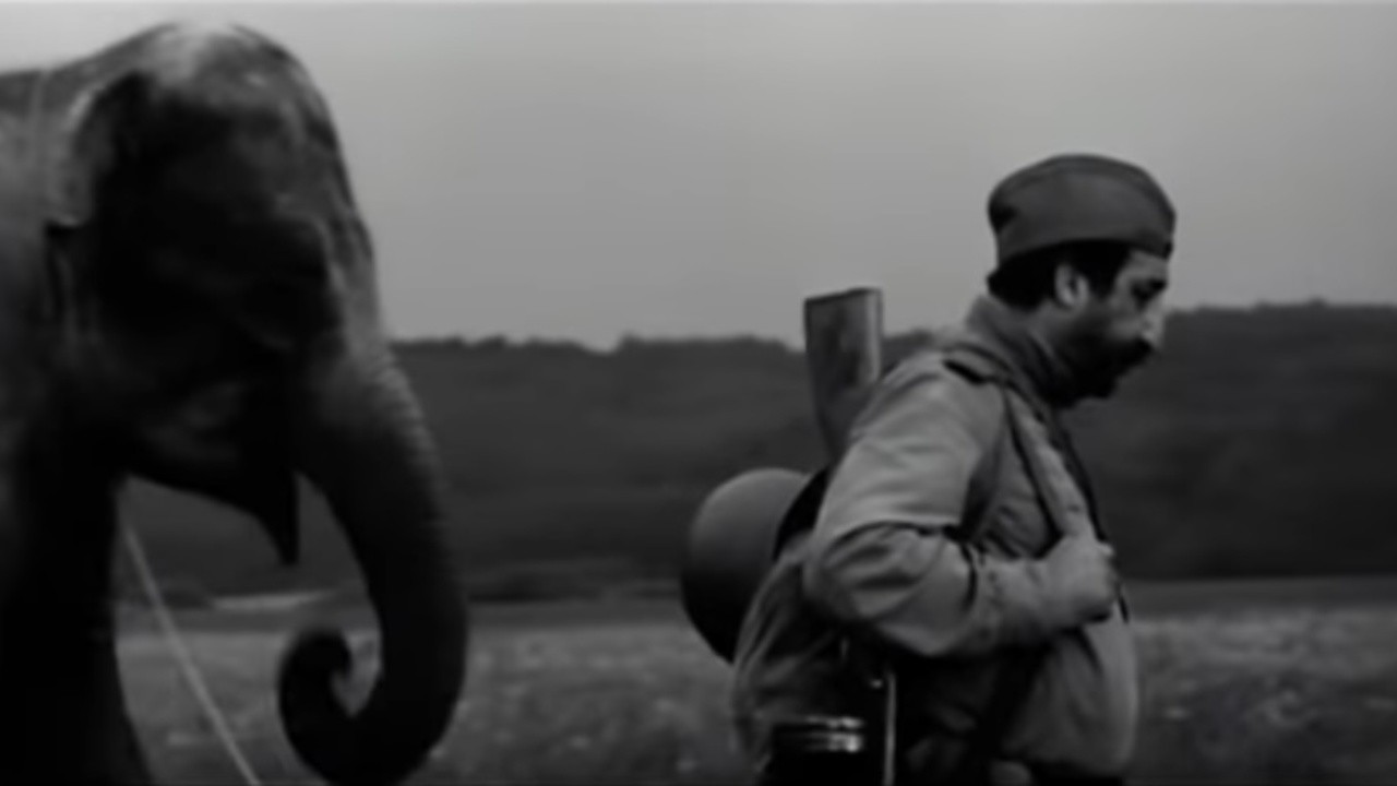 The Soldier and the Elephant
