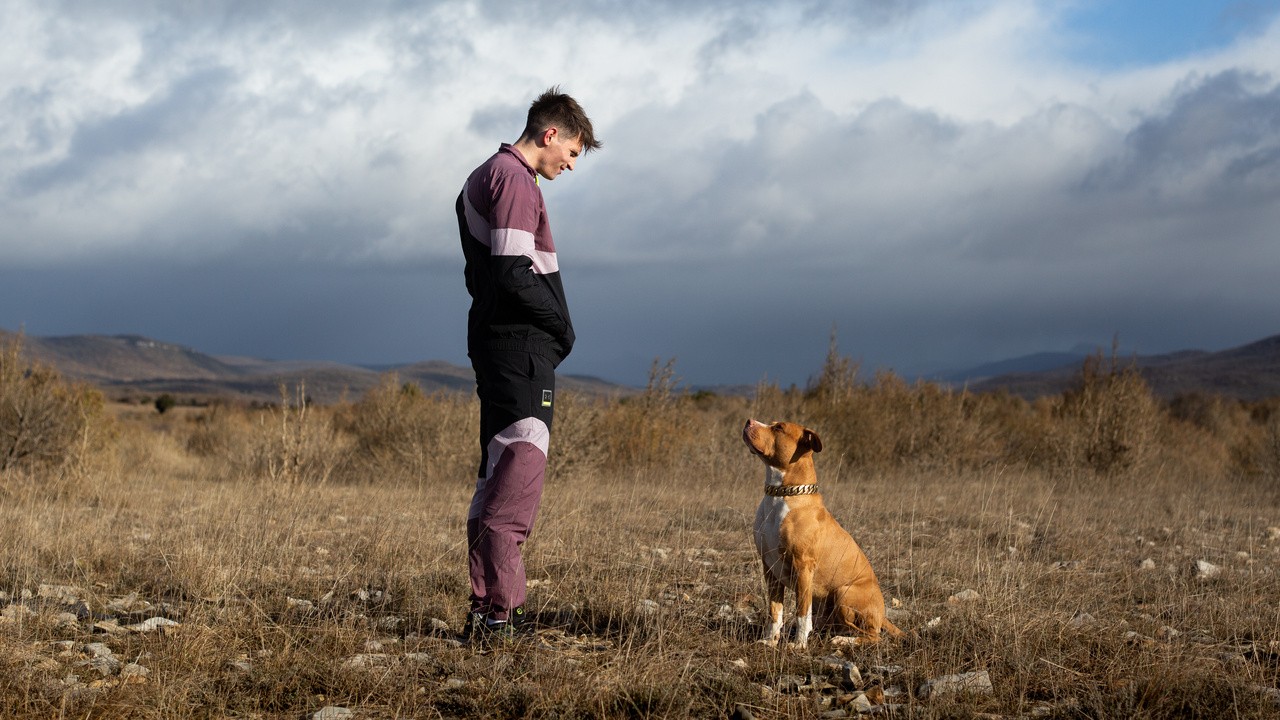 Image du film Chien de la casse