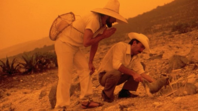 The Last Battle on Earth (2012) | MUBI