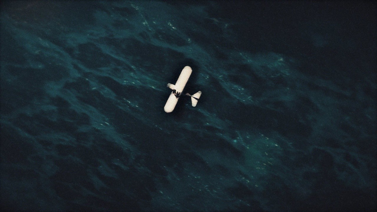 White Bird