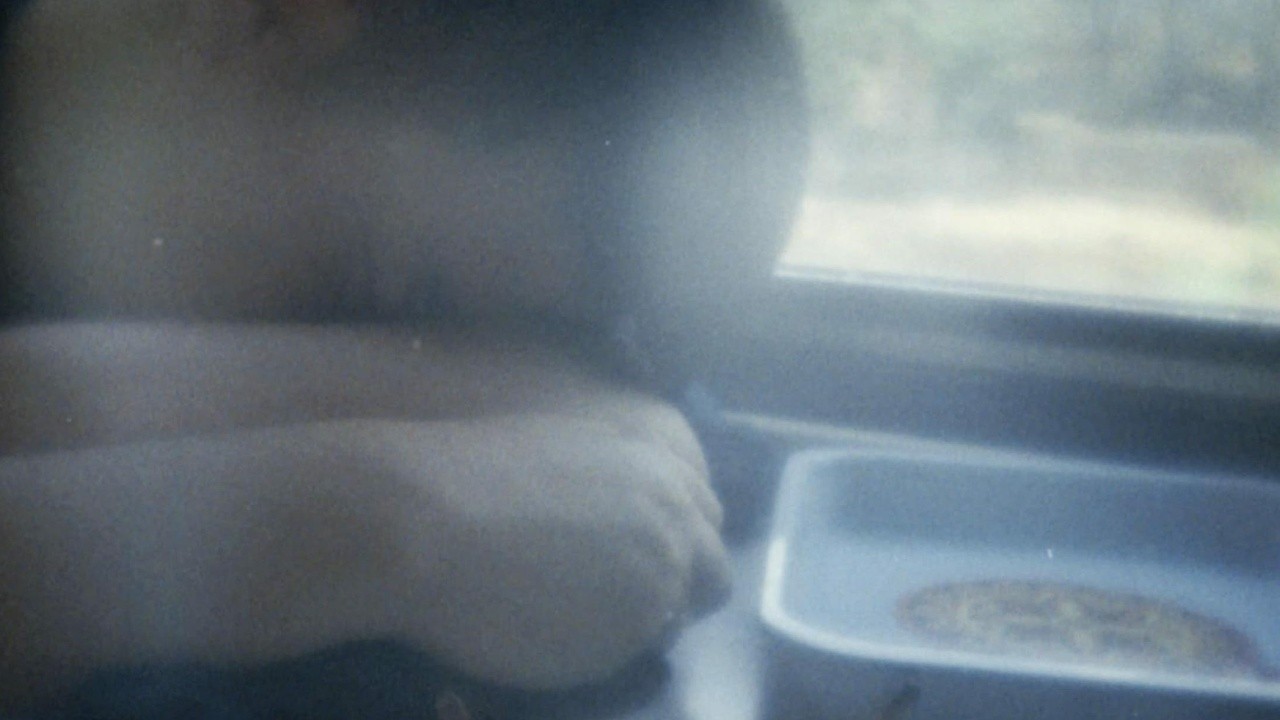 Trip to Lost Days