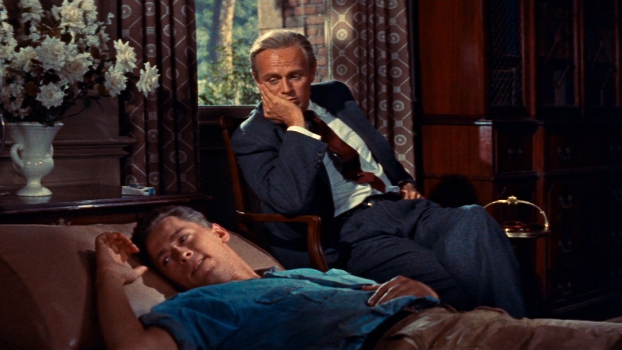 Image du film La toile d'araignée