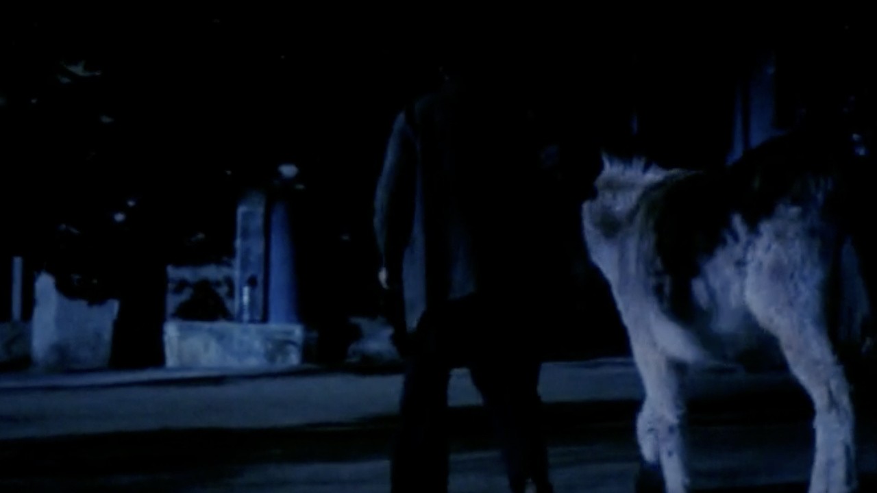 Image du film L'Ane qui a bu la lune