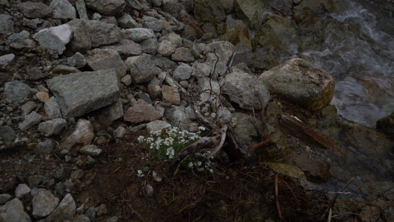 The Torrent of Nothing