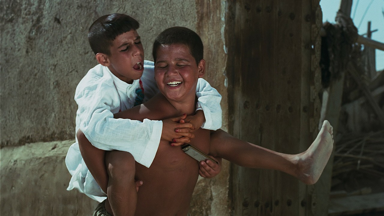 Image du film Harmonica