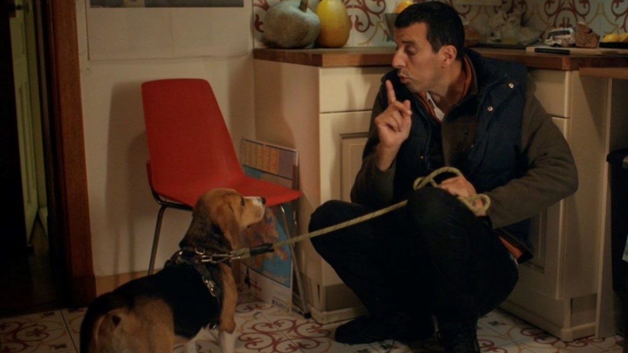 The Dogsitter (Now That I'm a Ghost)
