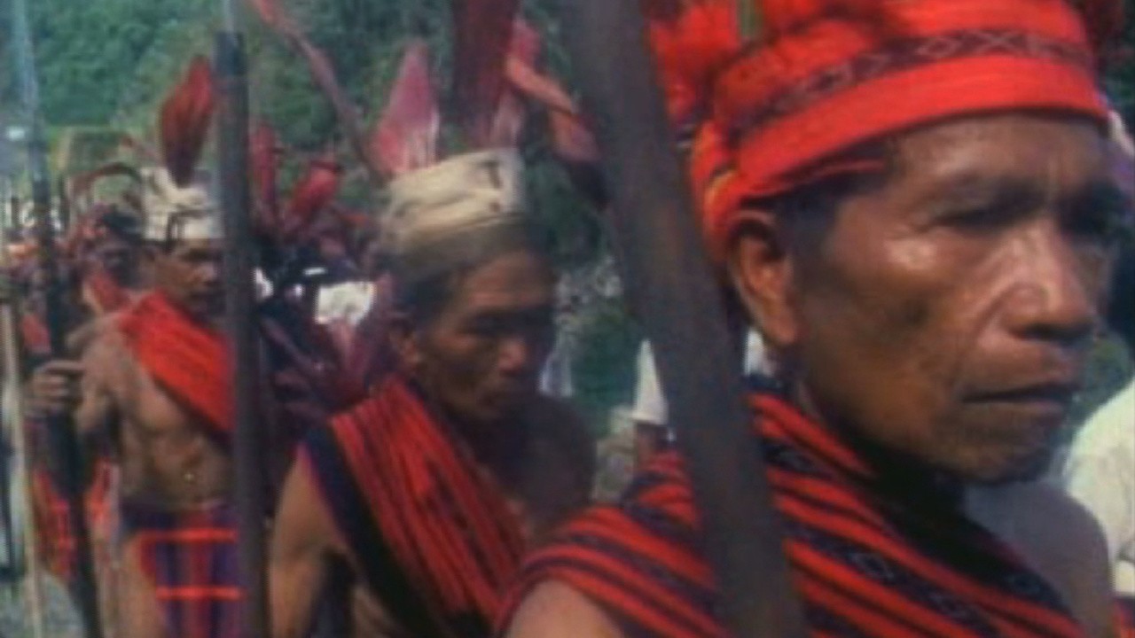 Banal Kahoy Holy Wood 2002 Mubi