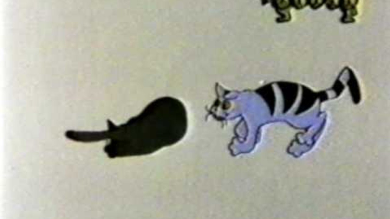 Housecats