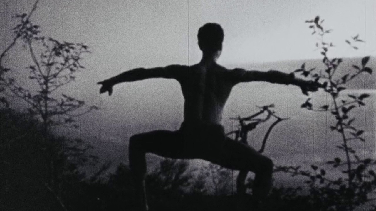 A Study in Choreography for Camera