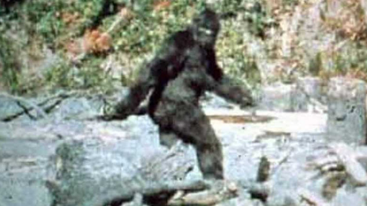 Patterson-Gimlin Film
