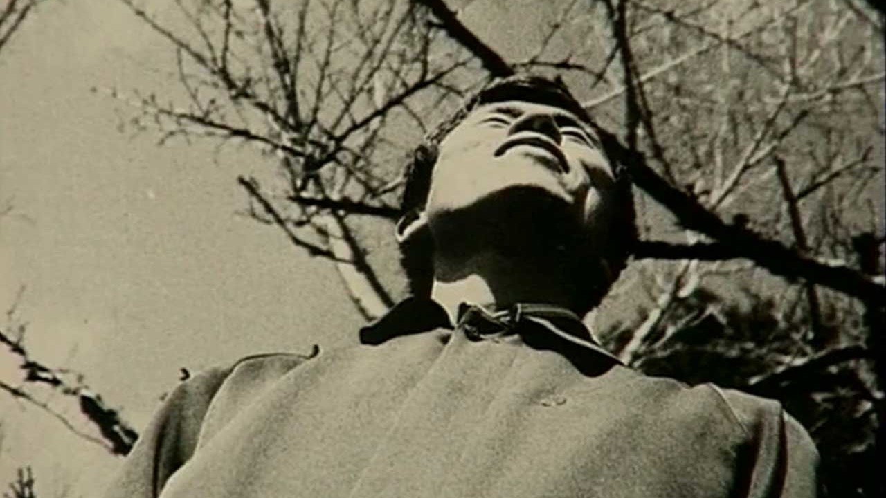 Lin Shuang-bu (1995) | MUBI