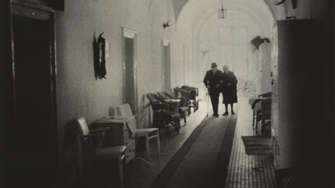 Inhabitants of Castles in Hungary in 1966
