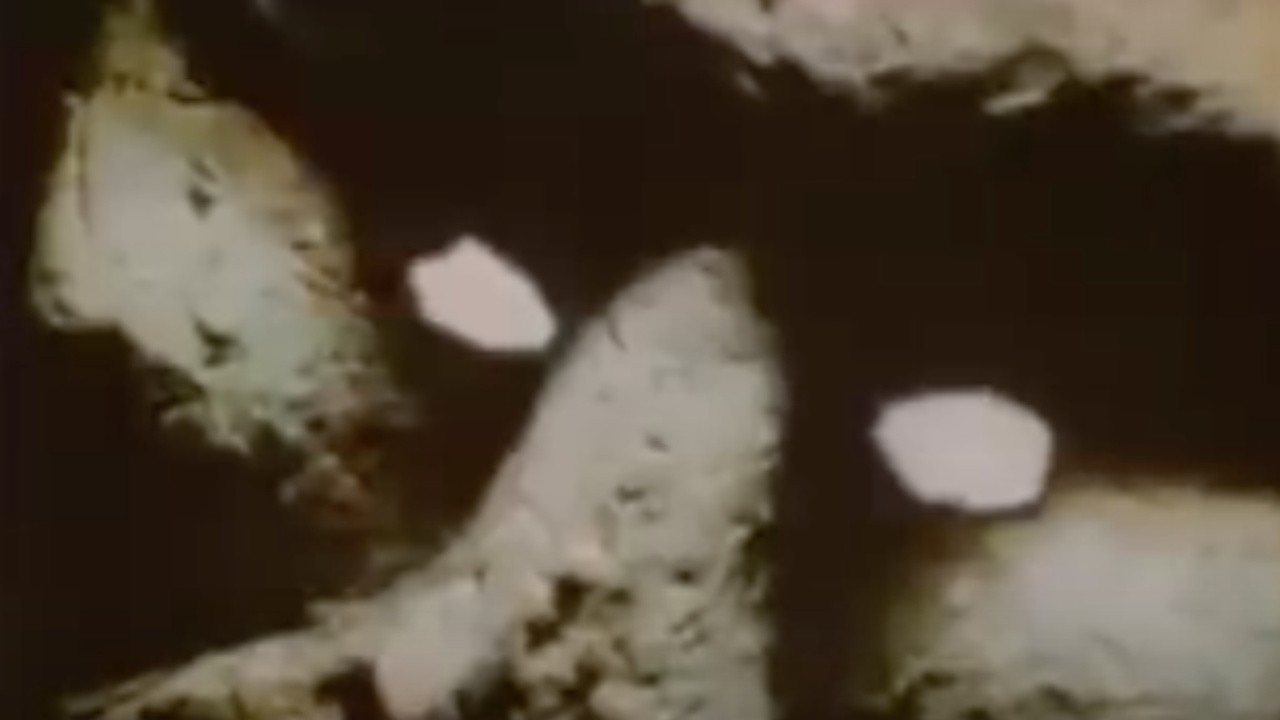 The Mind-Benders - LSD and the Hallucinogens